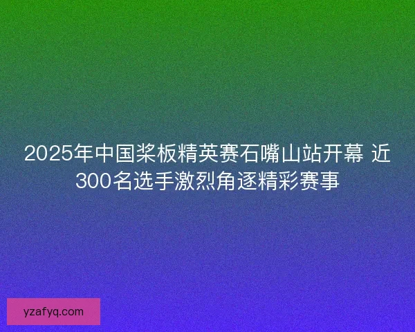 2025年中国桨板精英赛石嘴山站开幕 近300名选手激烈角逐精彩赛事